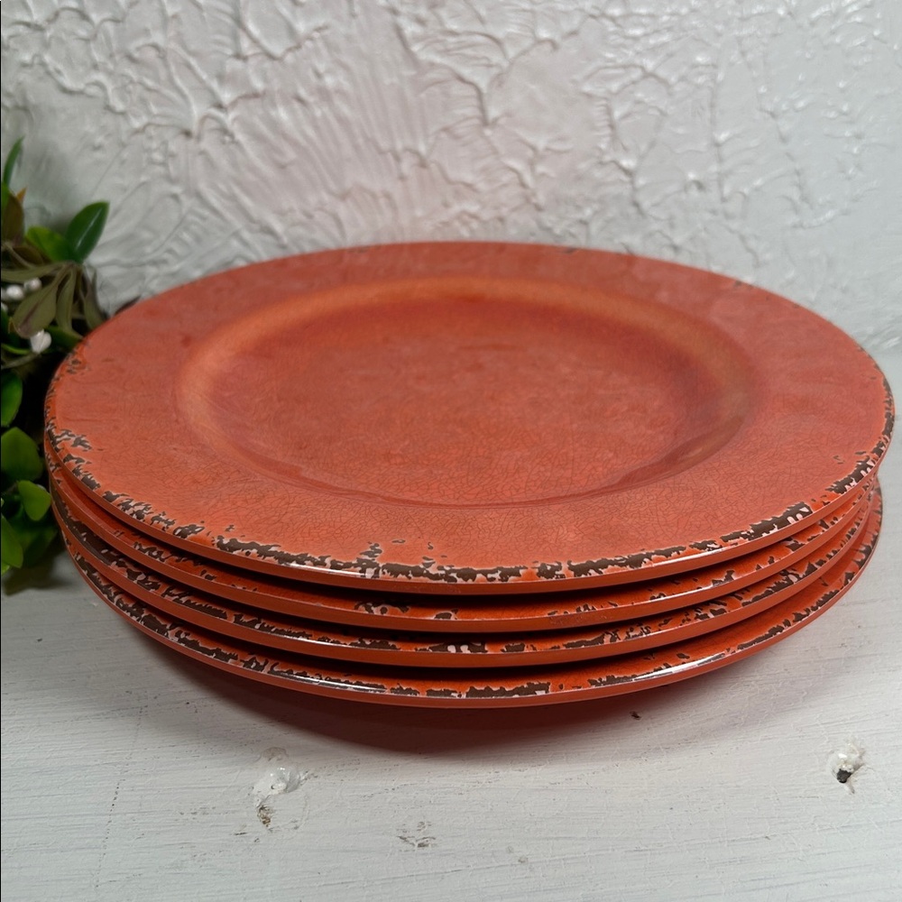 Gianna’s Home Plates Melamine Rustic Orange Plate Set Farmhouse Orange Plates